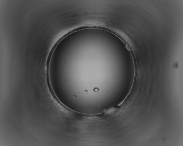 X0000090421335200707131200
