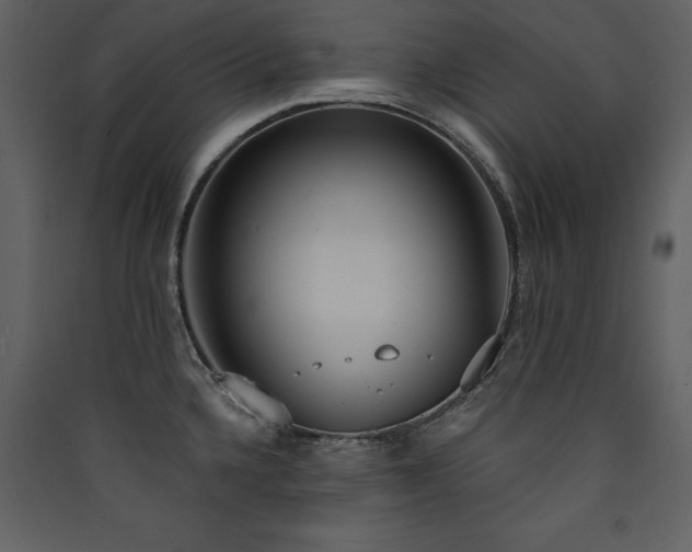 X0000090421336200707131200
