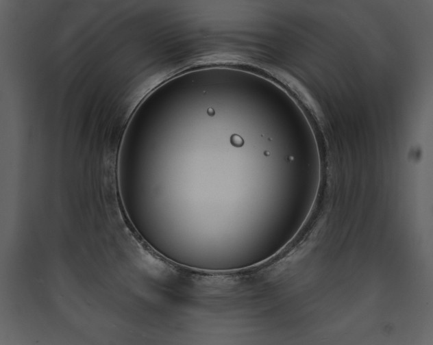 X0000090421337200707131200