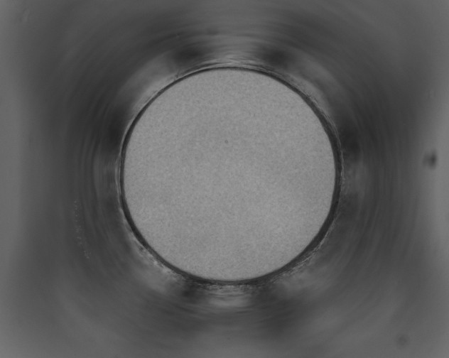 X0000090421338200707131200