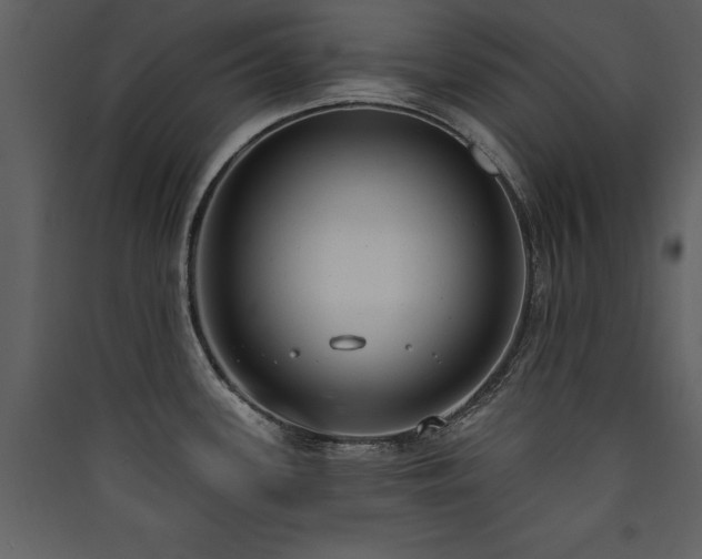 X0000090421339200707131200