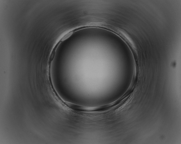 X0000090421340200707131200