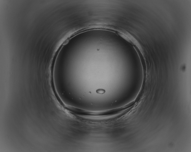 X0000090421341200707131200
