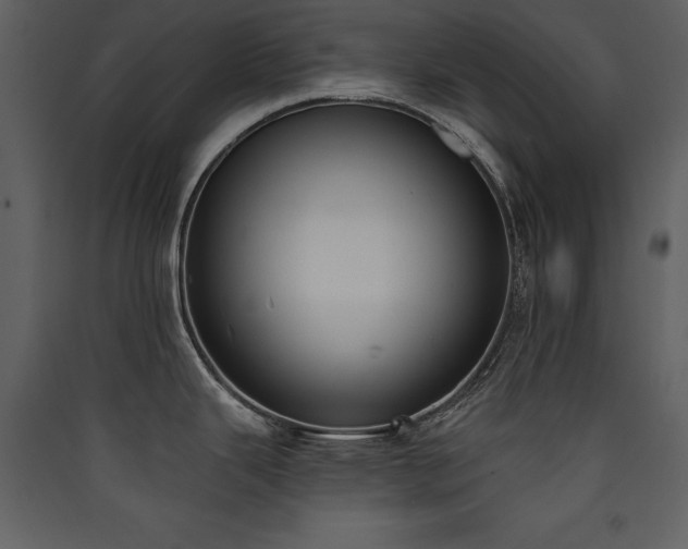 X0000090421343200707131200