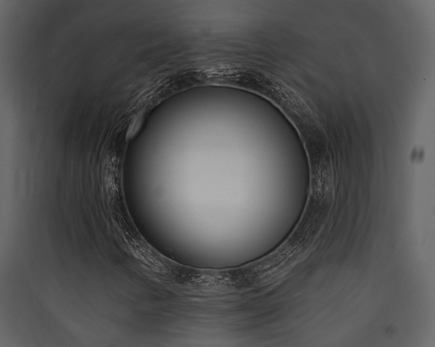 X0000090421346200707131200