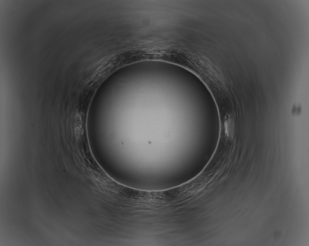 X0000090421347200707131200