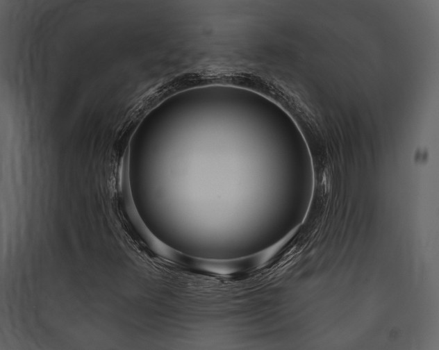 X0000090421348200707131200