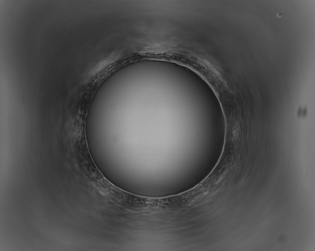 X0000090421350200707131200