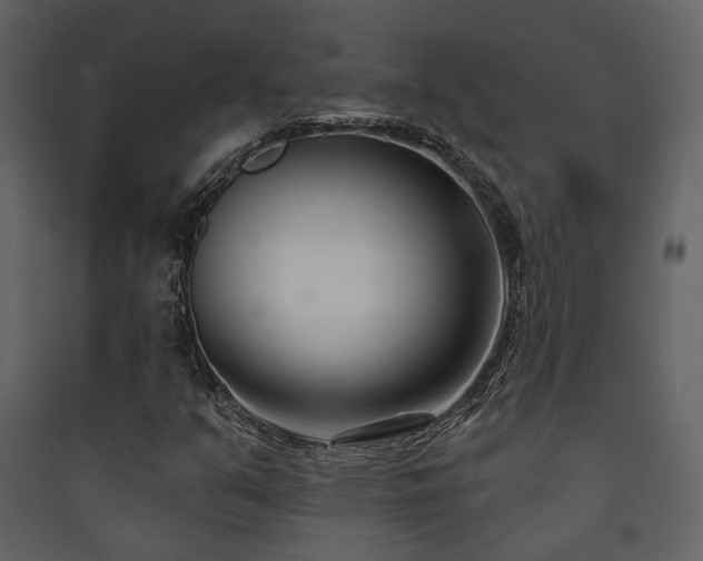 X0000090421351200707131200