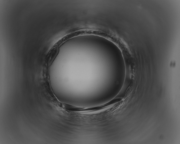 X0000090421352200707131200