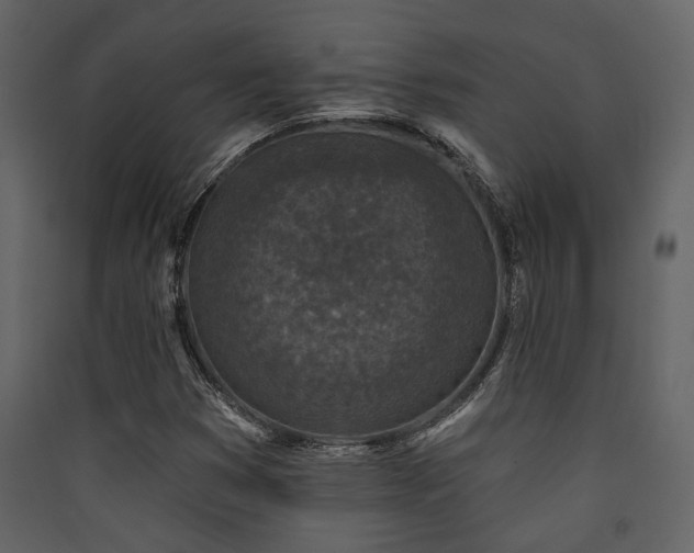 X0000090421353200707131200