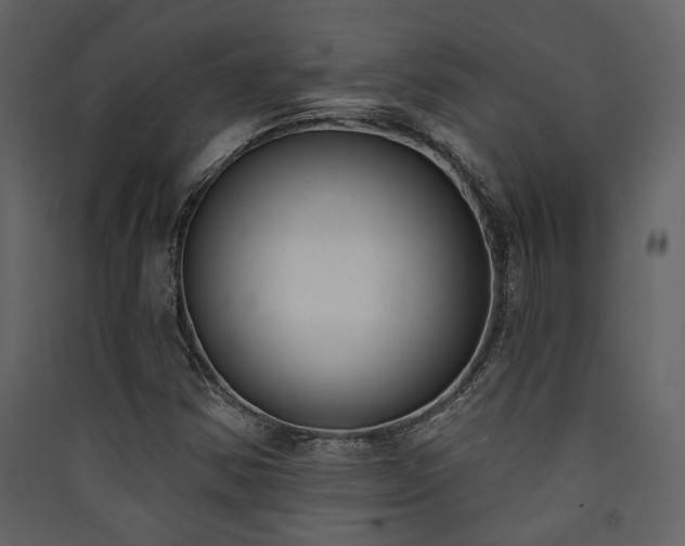 X0000090421354200707131200