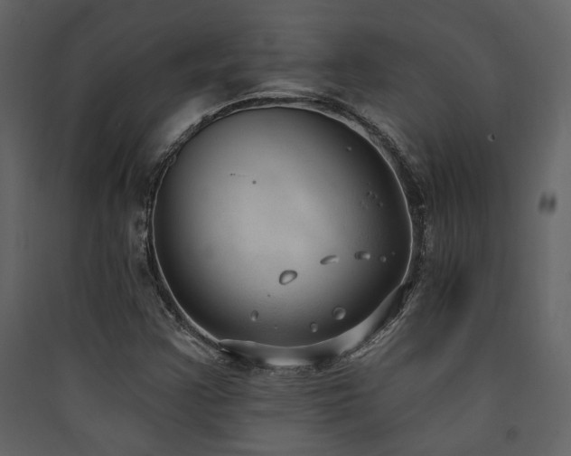 X0000090421355200707131200