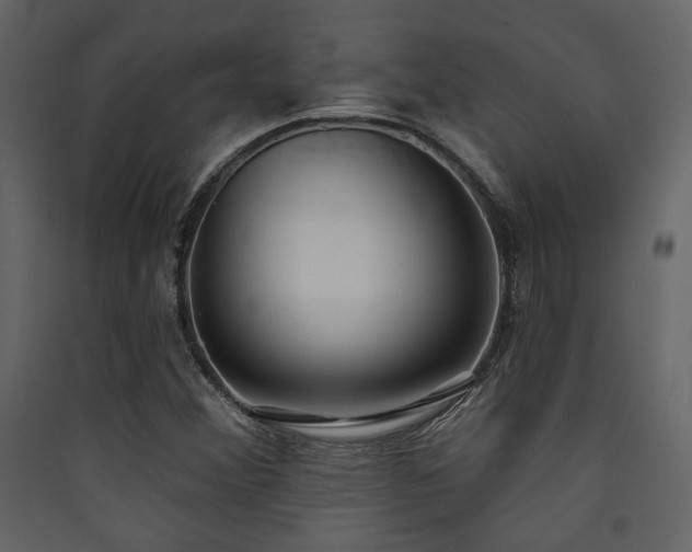 X0000090421356200707131159