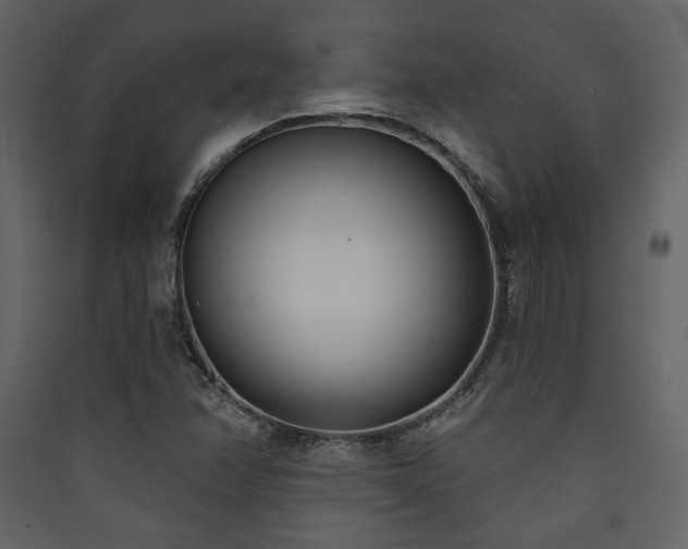 X0000090421358200707131159