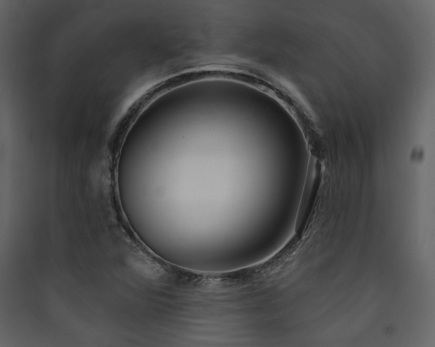 X0000090421360200707131159