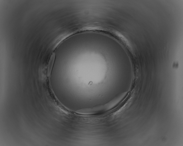 X0000090421361200707131159