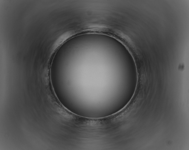 X0000090421362200707131159