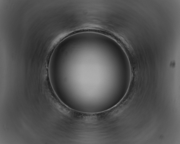X0000090421363200707131159