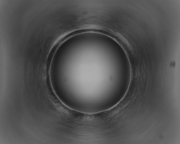 X0000090421364200707131159