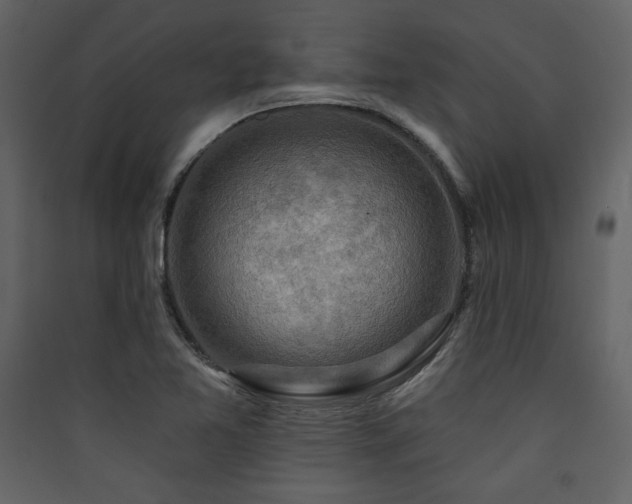 X0000090421365200707131159