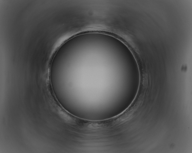 X0000090421366200707131159