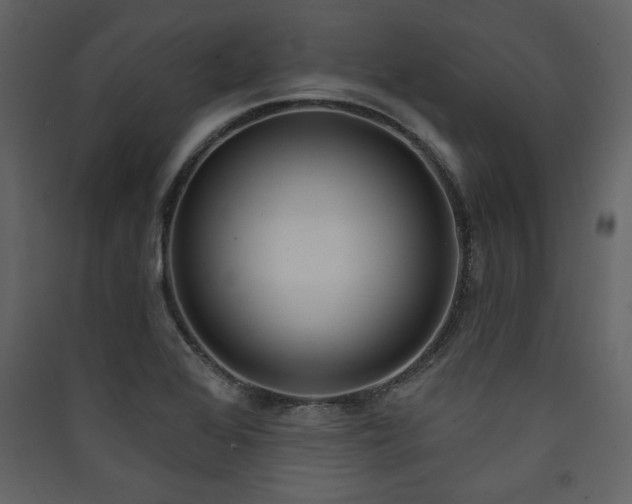 X0000090421368200707131159