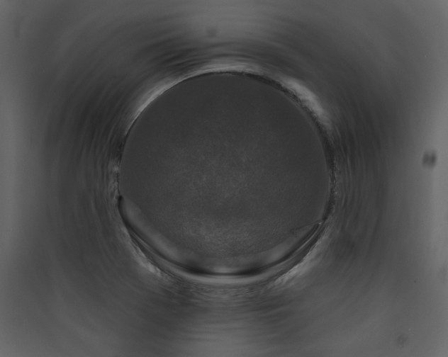 X0000090421369200707131159