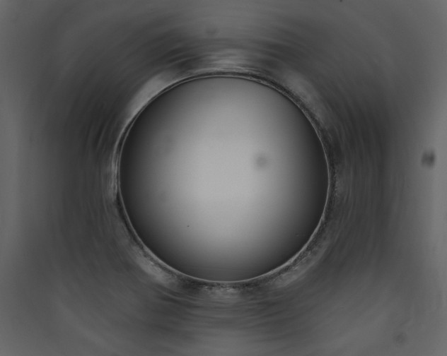 X0000090421370200707131159