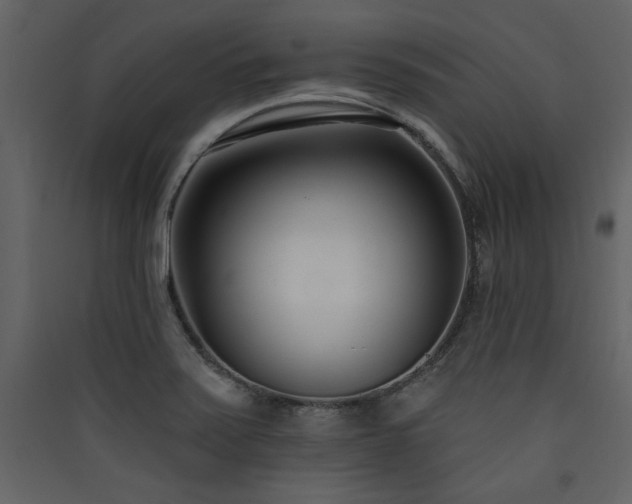 X0000090421371200707131159