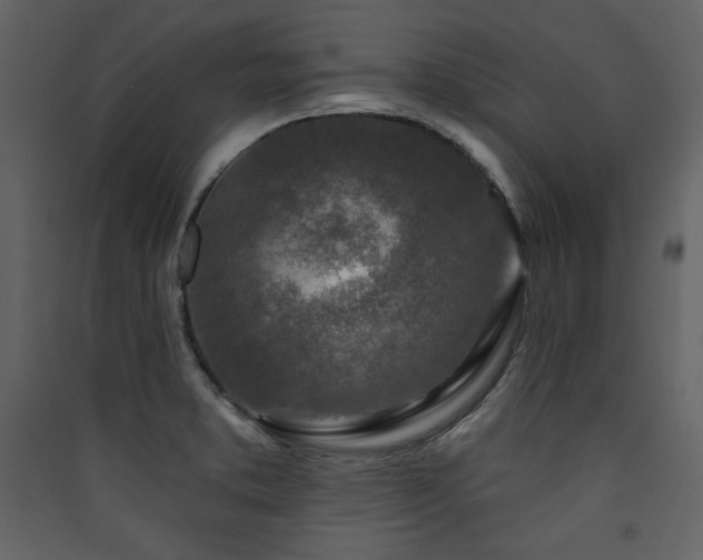 X0000090421373200707131159