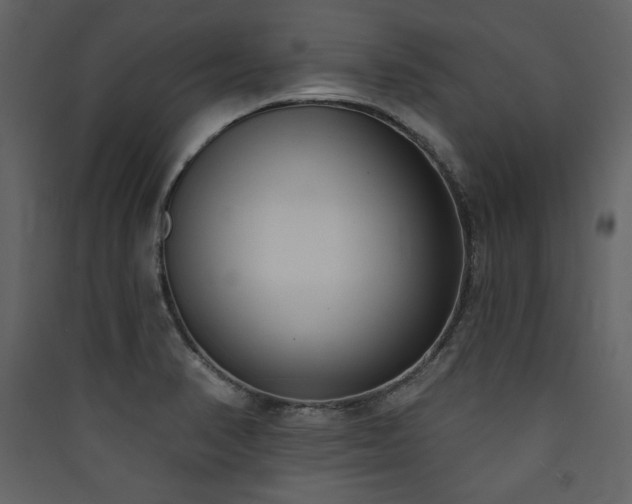 X0000090421374200707131159