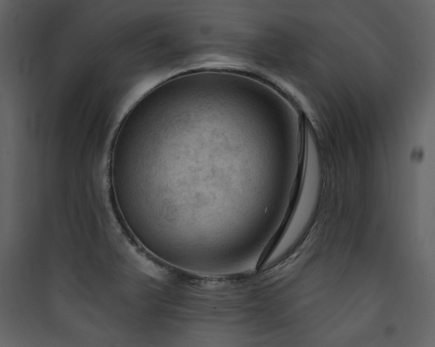 X0000090421375200707131159