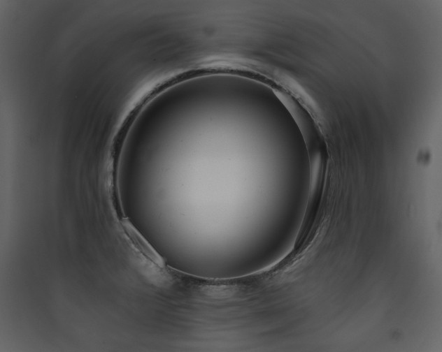 X0000090421376200707131159
