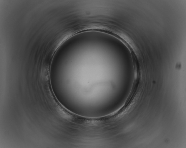 X0000090421377200707131159