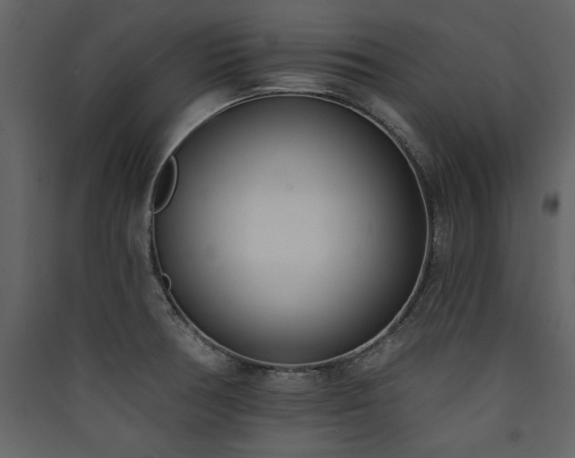 X0000090421378200707131159