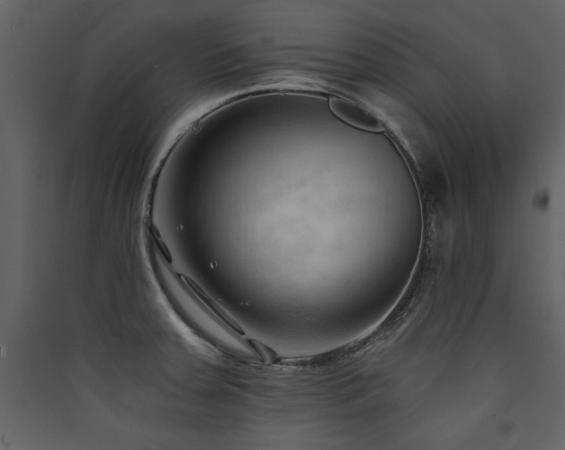 X0000090421379200707131159