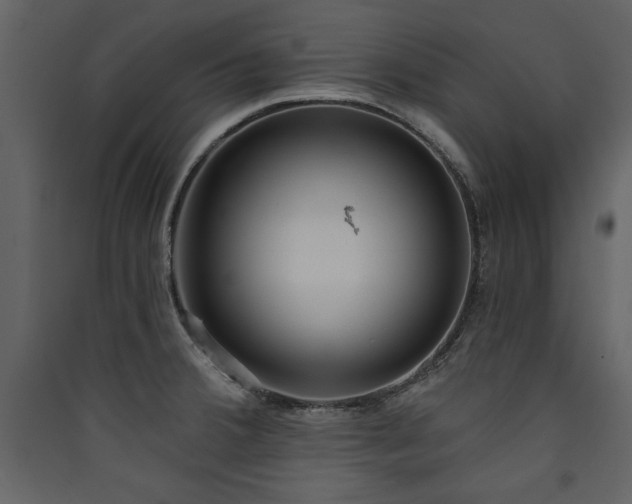 X0000090421380200707131159