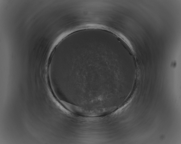 X0000090421381200707131159