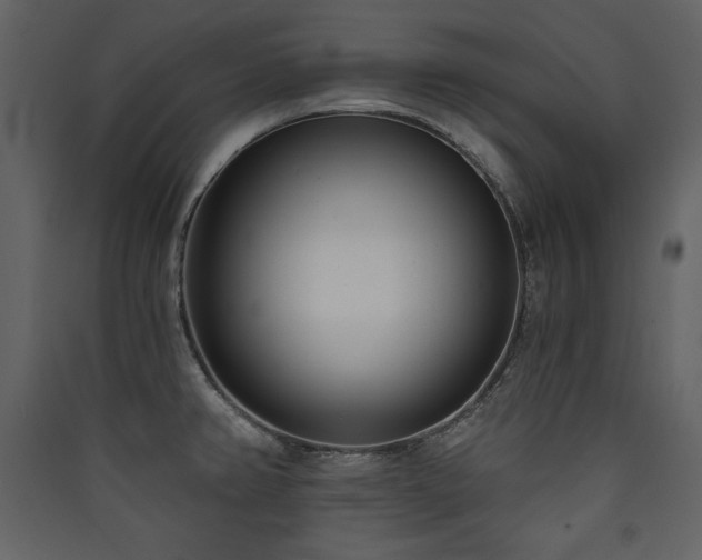 X0000090421382200707131159