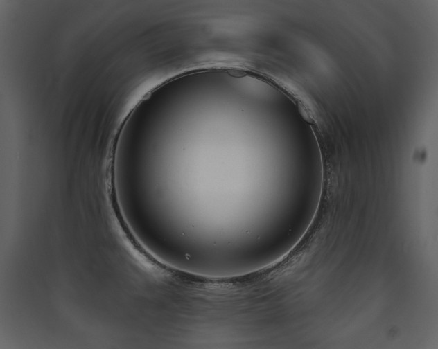 X0000090421383200707131159