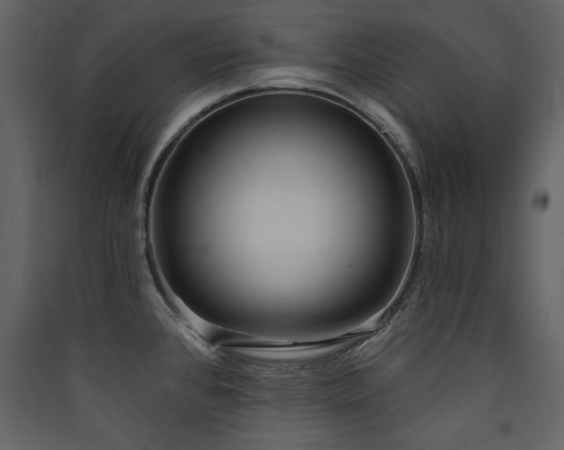 X0000090421384200707131159