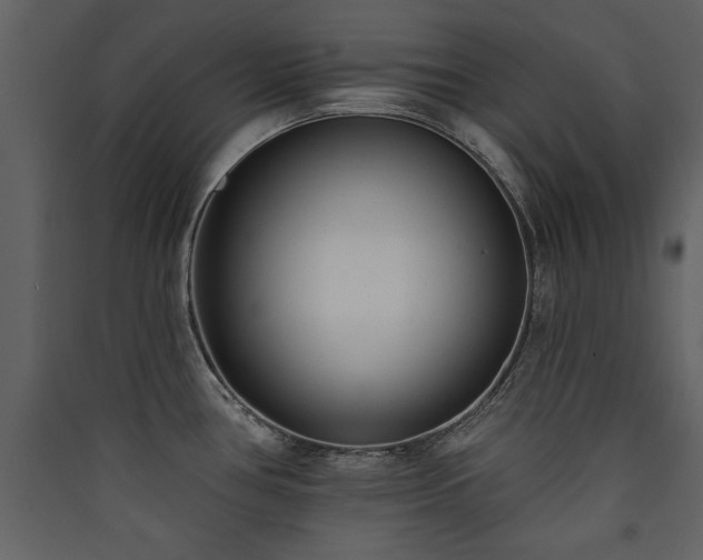 X0000090421386200707131159