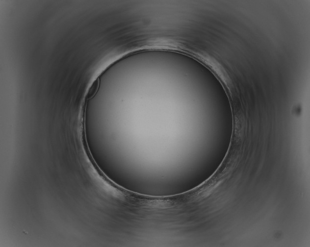 X0000090421387200707131159