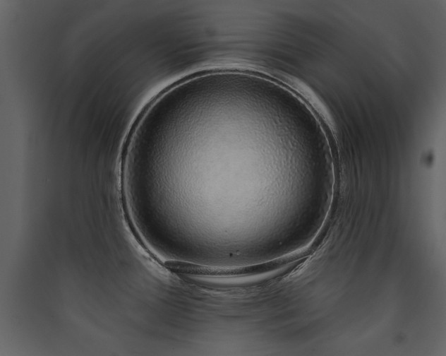 X0000090421388200707131159