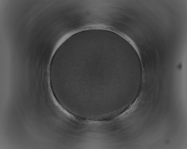 X0000090421389200707131159