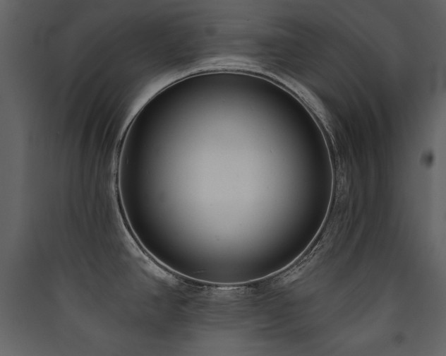 X0000090421390200707131159