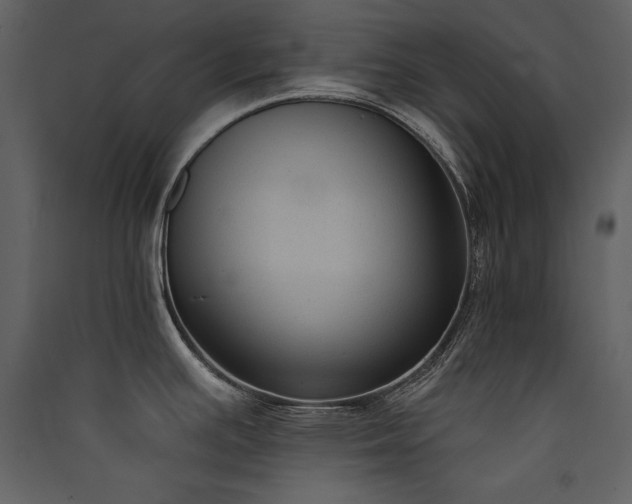 X0000090421391200707131159
