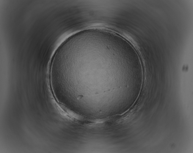 X0000090421392200707131159