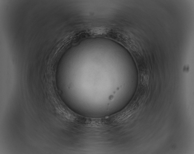 X0000090421393200707131158